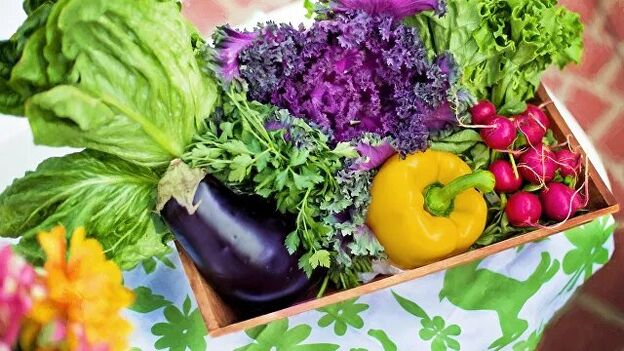 Legumes e verduras na dieta da dieta Ducan